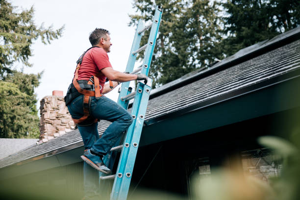 Steel Roofing in Odessa, FL